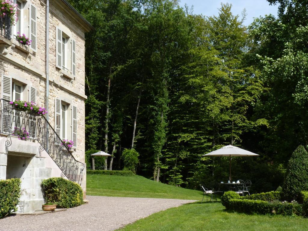 Chateau De La Houillere Bed & Breakfast Champagney Luaran gambar