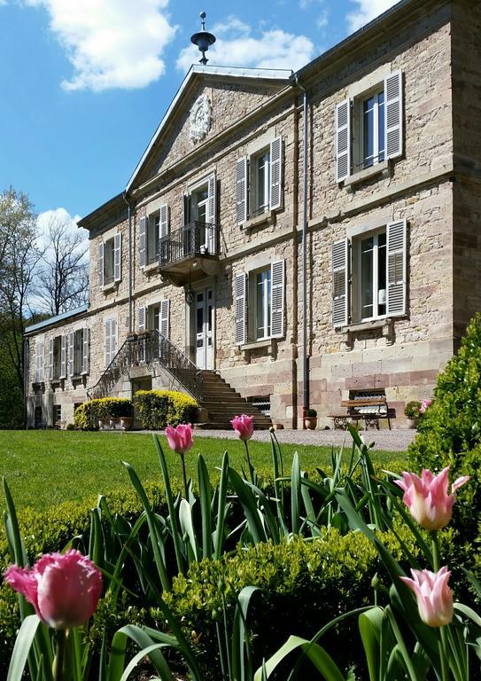 Chateau De La Houillere Bed & Breakfast Champagney Luaran gambar