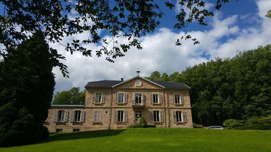 Chateau De La Houillere Bed & Breakfast Champagney Luaran gambar