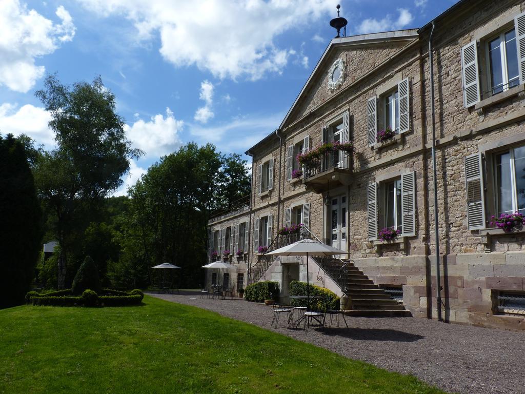 Chateau De La Houillere Bed & Breakfast Champagney Luaran gambar